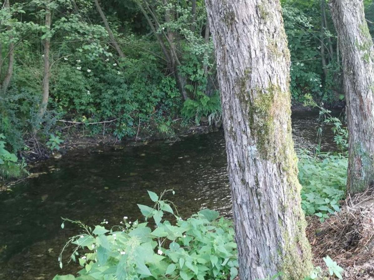 Ferienwohnung Koldere Brilon Bagian luar foto